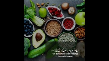 اروع تلاوة قصيرة بصوت احمد النفيس - اجمل حالات واتس اب دينية ❤ - قرآن كريم