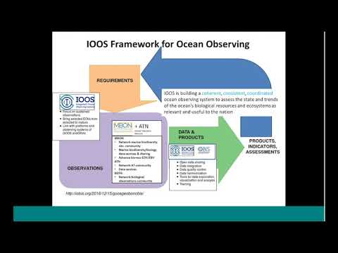 Observations to Understand