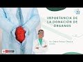 IMPORTANCIA DE LA DONACIÓN DE ÓRGANOS