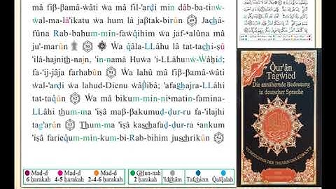 ختمة من مصحف التجويد باللغة الألمانية الصفحة رقم 272