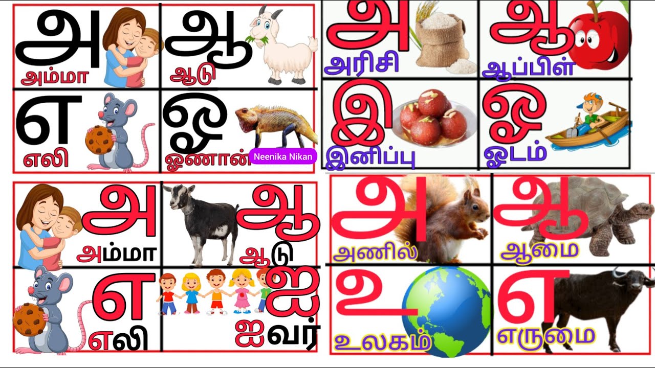 உயிர் எழுத்துக்கள்அ ஆ இ ஈ learn Tamil alphabets litters YouTube