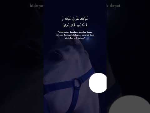 فؤادي يشتكي ذنبي 