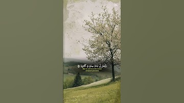 سوره الشعراء بتلاوة الشيخ ياسر الدوسري💚 ||#explore #قران_كريم #سورة_الشعراء #ياسر_الدوسري