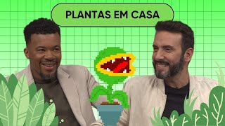 21.03 | PLANTAS EM CASA | ENTRE FAMÍLIA