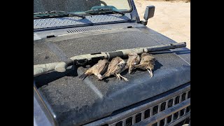 High Capacity - Quail Hunt Az 2020 screenshot 1