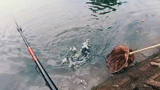 1070819福林橋段