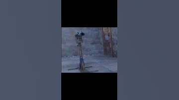 не доверяй даже надписям в Раст!                                                   #memes#rust