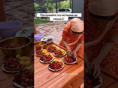 Подготовка к приходу гостей. Родная земля, родной дом❤️ #история #гости #дастархан #рецепты #рек