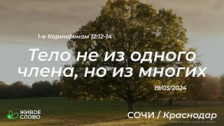 19.05.2024 | Тело не из одного члена, но из многих - 1-е Кор 12:12-14 | Церковь &quot;Живое Слово&quot;