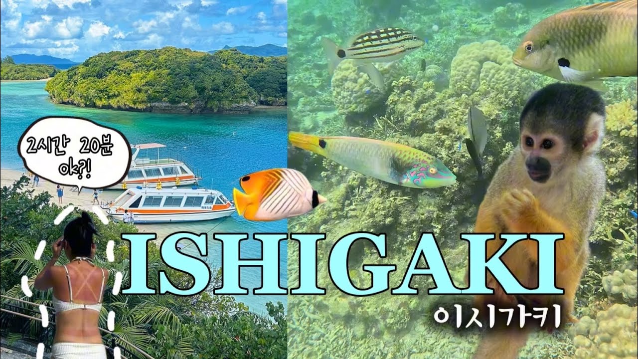 [이시가키🇯🇵] 미야코지마 다음은 바로여기! 숨은보석 이시가키 | 물친자 주목🐠🤿 | 리얼 브이로그✨