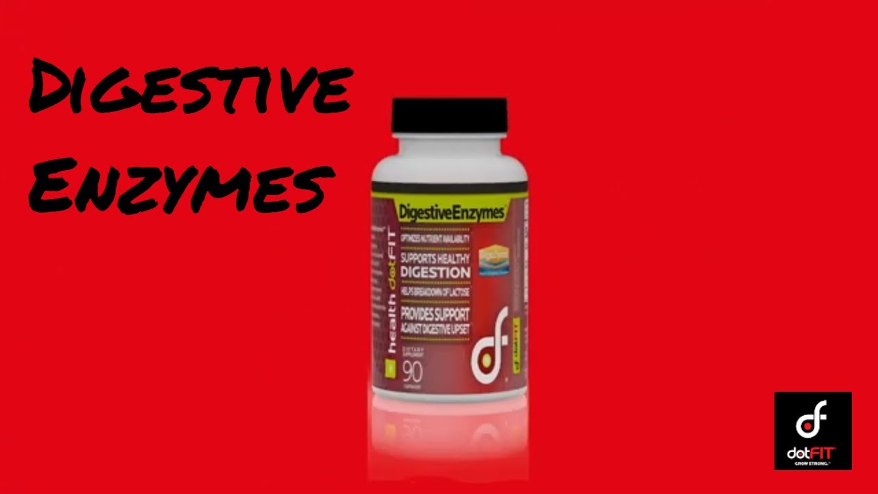 Digestive Enzymes YouTube