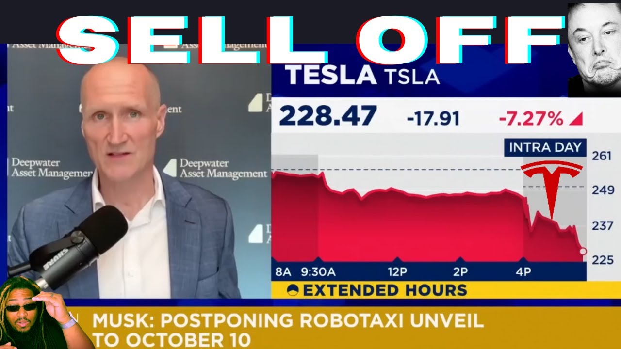 FINANCIAL NEWS MEDIA REACTS TO TESLA 2024 Q2 EARNINGS MISS - YouTube