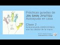 Practica Guiada 2  (empieza min. 16:20) JIN SHIN JYUTSU. Armonizando EMOCIONES con las manos.