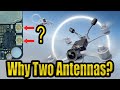DJI O4 &amp; Avatar HD Why Two Antennas ? - Is 2 Really Better Than 1!