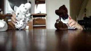 Numa Numa - with holly