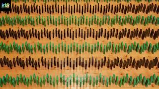 The tractor tracks trick in domino