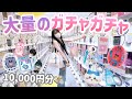 5700台のガチャガチャで10,000円分大量に回しまくってきた!⭐️「めじるし・サンリオ・平成など🌈」