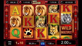 EGT Slot Cats Royal 161x win Free Spin screenshot 5