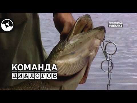 Призовая щука. Рыбалка в США | Классика