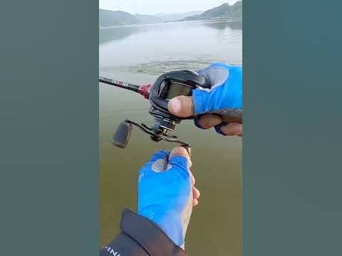 송전지 57Cm 런커 배스 - Youtube