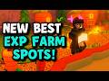 *NEW* BEST EXP Grinding Spot in Fisch! FASTEST Way to Level Up (2026)