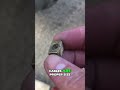 Fix Motorcycle Battery  Simple Tips for Clean Connections and Charging