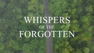 Whispers of the forgotten