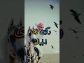 تسريب اغنية حكيم احنا المعني الحقيقي لكلمة مرحلة