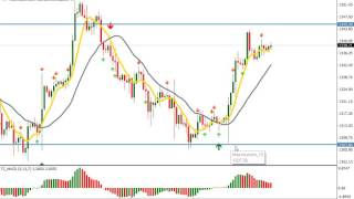 Forex trading - Binary option - Forex Signals - Day 4