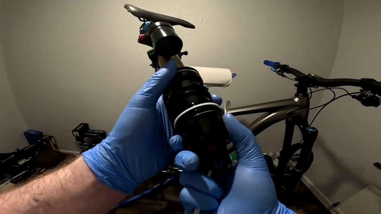 We bit of tlc on giant reign 