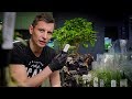 DO IT YOURSELF ROUND AQUARIUM PART 2  - PLANTING, WITH A BONSAI TREE ON TOP