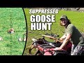 Goose Hunt with Suppressed Rifles