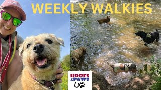 Weekly Walkies with Hoofs & Paws