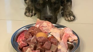 🐶Oliang the Pit Bull eats🍓🎲🥩Diced Beef Angus&Chicken combo[ASMR]MUKBANG 犬が生の肉を食べる [咀嚼音] DOG VLOG screenshot 4