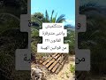 خليكى بنت مش سهله خليكى بنت مش سهله