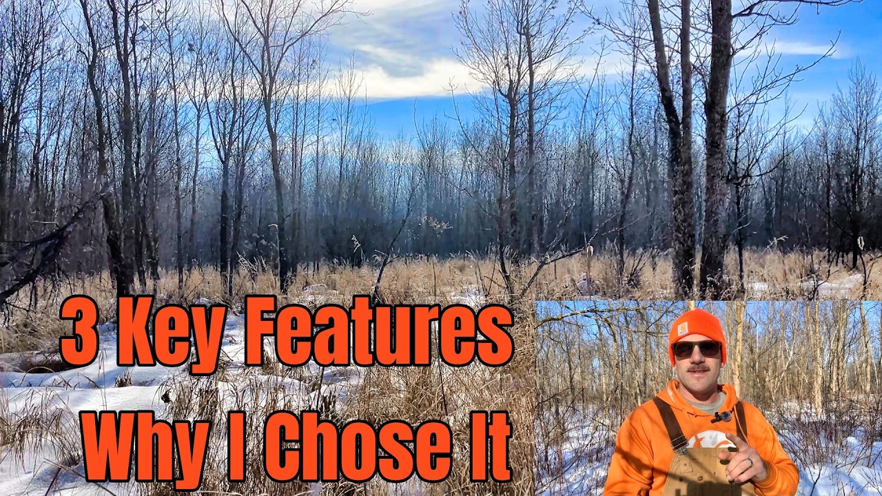 Я купил новый участок земли, где можно охотиться на белохвостого оленя! [Почему я выбрал именно э...