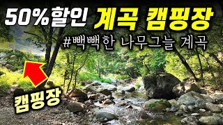 특정 요일은 50% 할인해주는 나무그늘이 빽빽한 계곡 그 바로 앞 캠핑장 / 소규모캠핑장 / 계곡캠핑장 / 명달캠핑장