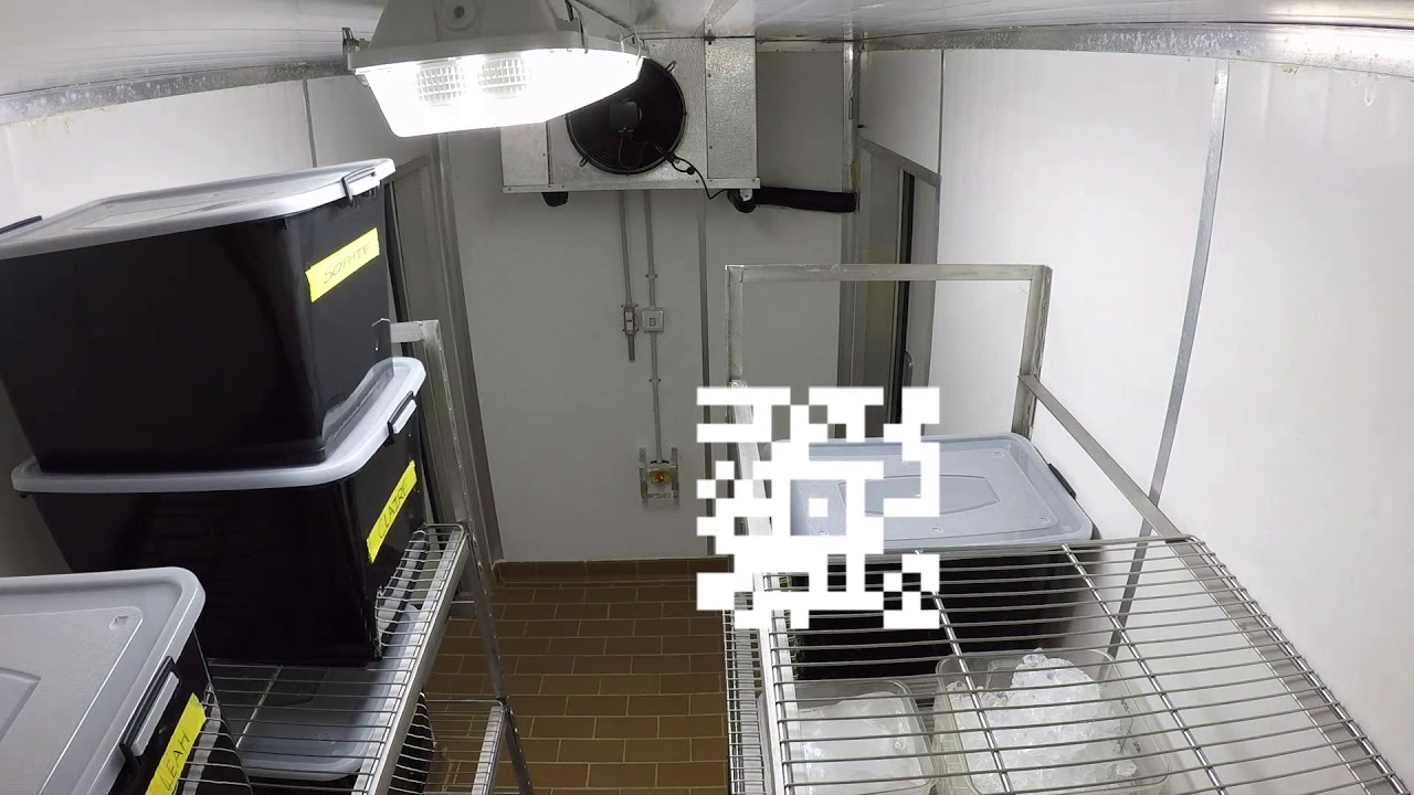Unlisted this is kate video - Unlisted this is kate video