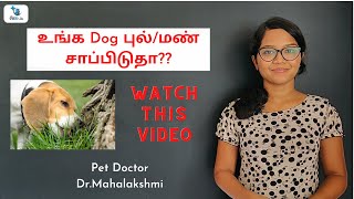 உங்க Dog புல்/மண் சாப்பிடுதா?? Watch this video. Remedies for Puppies eating Sand/ Grass| Pet Doctor