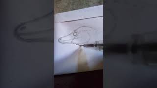 drawing the tiny insectivore albretanycus🦖🐦#fypシ゚viral #fypシ #paleoart #art