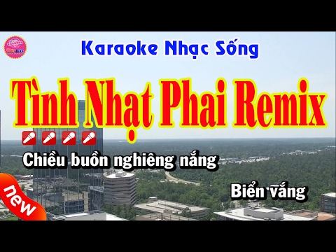 Tình Nhạt Phai Remix