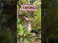 райское Местечко #maghrib #марокко #maghreb #maroc #city #youtube #youtubeshorts #youtuber#citylife#