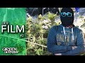 HomeGrow in Deutschland - DER FILM [Teil 2]