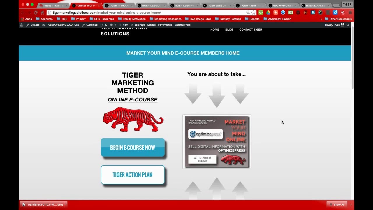 Introducing OptimizePress 2.0 Training E-Course: Market Your Mind Online