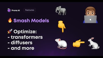 Optimize AI models with Pruna