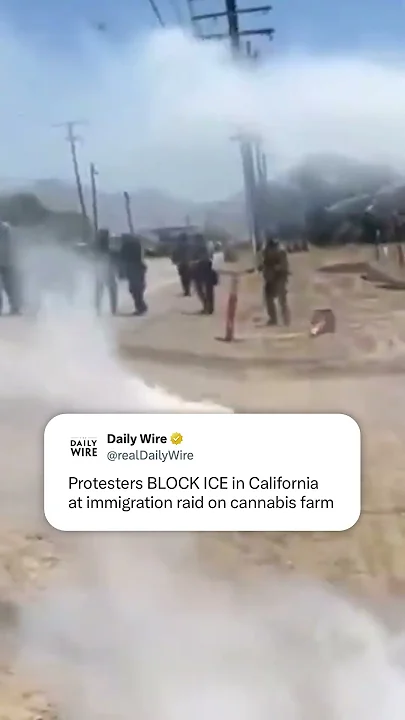 There’s nowhere unemployed protesters love going more than a field full of cannabis