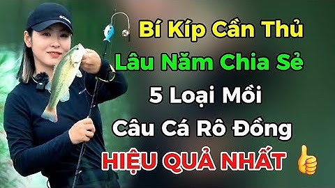 💥5 Mồi Rô Đồng Hiệu Quả Nhất – Cứ Thả Xuống Là Dính | Bí Quyết Cần Thủ Lâu Năm | Câu Cá 24H