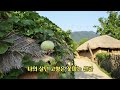 나의 살던 고향은 꽃피는 산골 고향의 봄 이원수 작사 홍난파 작곡 설명에 고향의 봄 가사 게시 나의 살던 고향은 꽃피는 산골 고향의 봄 이원수 작사 홍난파 작곡 설명에 고향의 봄 가사 게시