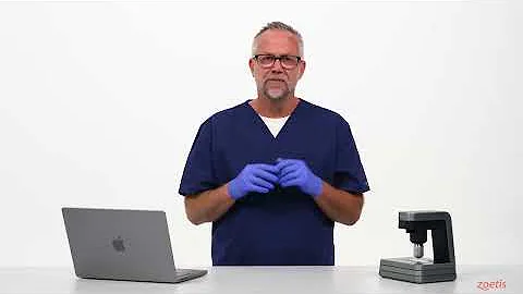 Vetscan Imagyst AI Equine Fecal Egg Count Demo Video