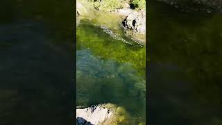 El durazno, Córdoba